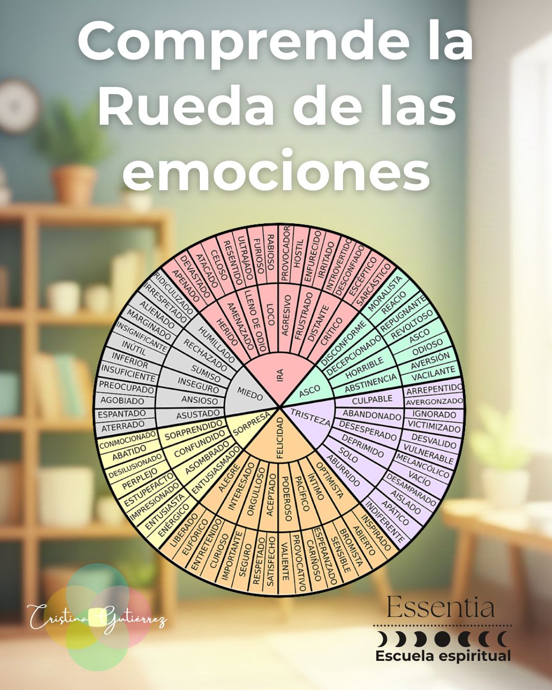 Comprende la rueda de las emociones